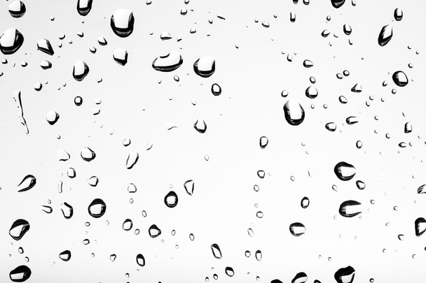 Water droplets on window - 写真・画像