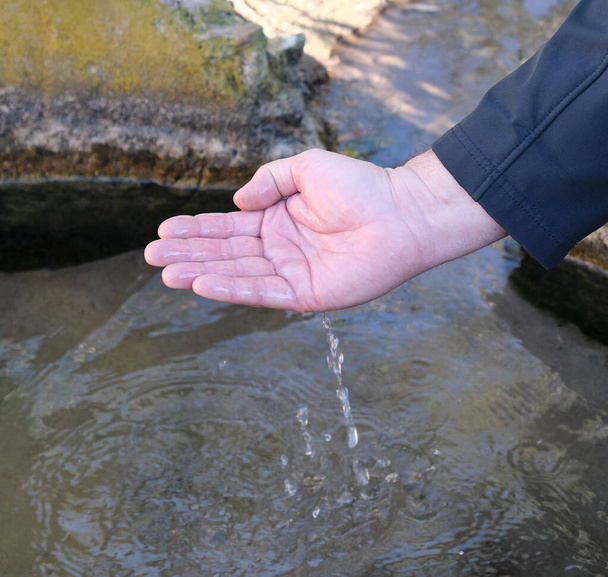 самец ладони черпает воду из естественного источника
 - Фото, изображение