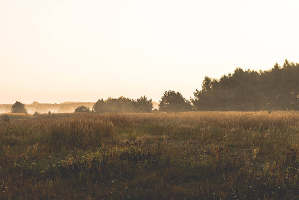   sunrise over a misty meadow in summer morning - Valokuva, kuva