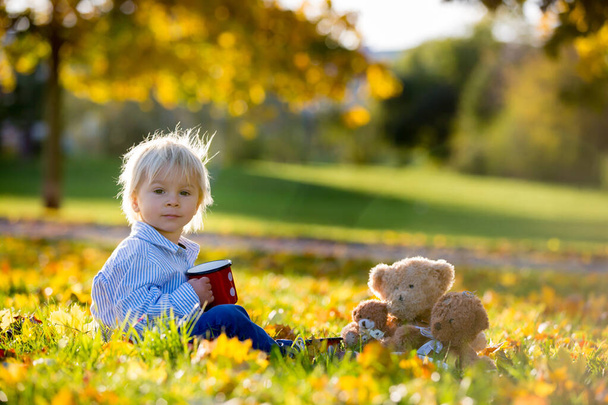 Beautiful toddler child, boy, drinking tea in the park with tedd - Fotoğraf, Görsel