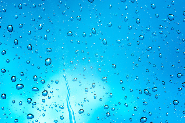 Water drop on blue background - 写真・画像