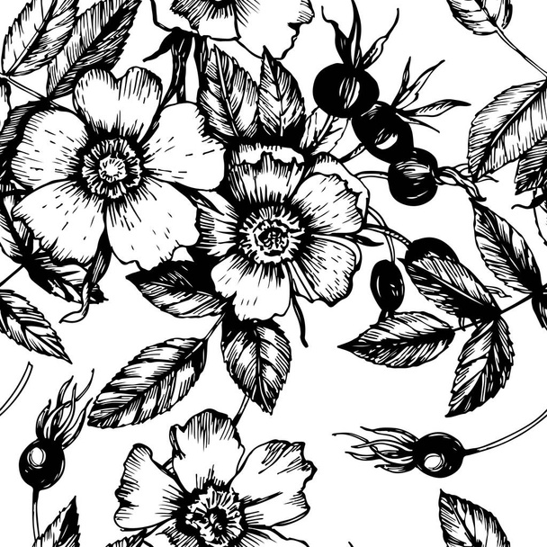 Çizgisel botanik desen Rose Hip. Çiçekler, tomurcuklar, meyveler, yapraklar, dallar. Vektör çizimi. Manüel grafikler. Çeşitli yüzeyleri dekore etmek için kusursuz desen. - Vektör, Görsel