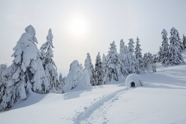 The wide trail leads to the snowy igloo. Winter mountain landscapes. Location place the Carpathian Mountains, Ukraine, Europe. - Foto, Imagen