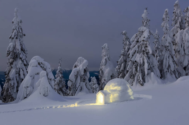 Night winter mountain landscapes. Igloo stands on the snowy lawn. House with light. Location place the Carpathian Mountains, Ukraine, Europe. - Foto, Imagen
