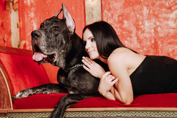Beautiful young woman posing with her Great Dane dog in the studio in the red room on the couch - Photo, Image