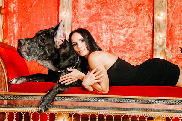 Güzel genç bir kadın, büyük Danimarkalı köpeğiyle birlikte kırmızı odada, kanepede poz veriyor. - Fotoğraf, Görsel