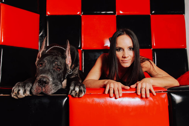 Όμορφη νεαρή γυναίκα ποζάρει με το σκύλο της στο στούντιο στο κόκκινο μαύρο δωμάτιο στον καναπέ. - Φωτογραφία, εικόνα
