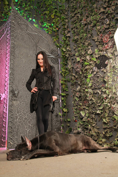 Όμορφη νεαρή γυναίκα ποζάρουν με το σκυλί της Great Dane στο στούντιο κοντά σε μεγάλες μαύρες πύλες φόντο - Φωτογραφία, εικόνα