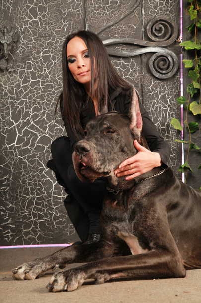 Mulher bonita posando com seu cão Great Dane no estúdio perto de grandes portões negros fundo
 - Foto, Imagem