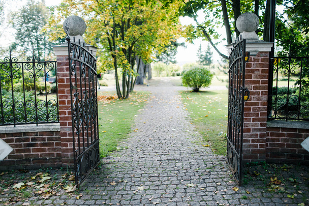 Classical design black wrought iron gate in a beautiful green garden - Photo, image
