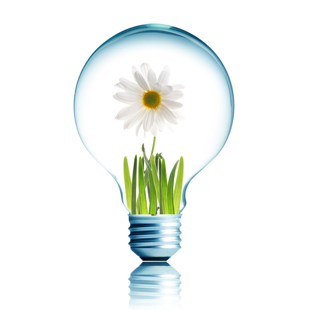 Light Bulb with flower inside - Фото, изображение