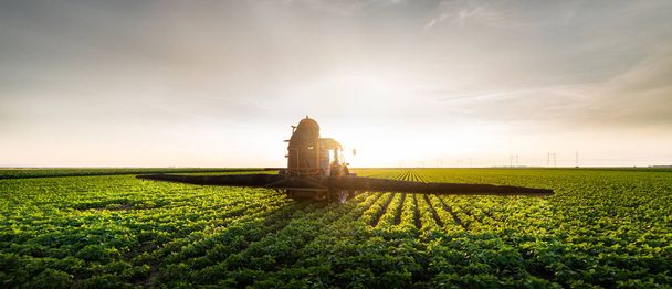 Traktor permetező szójabab mező naplementében - Fotó, kép