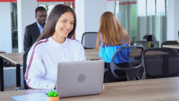 happy manager toont teken ok in open ruimte kantoormedewerker in start-up bedrijf - Video