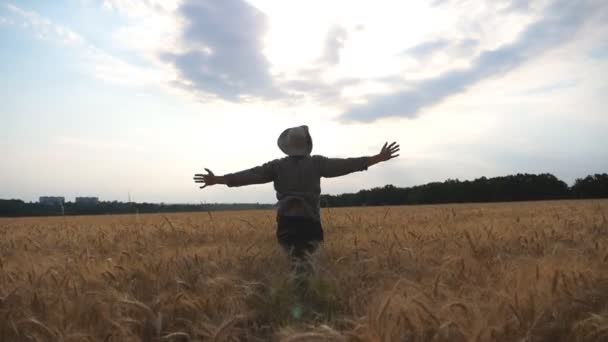Podążaj za szczęśliwym młodym agronomem podnoszącym ręce podczas biegania przez pole pszenicy. Nierozpoznany rolnik bawiący się podczas joggingu na łące jęczmiennej. Pojęcie działalności rolniczej. Zwolniony ruch - Materiał filmowy, wideo