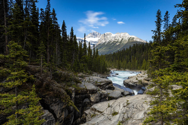 カナダのロッキー山脈のミスタヤキャニオン - 写真・画像