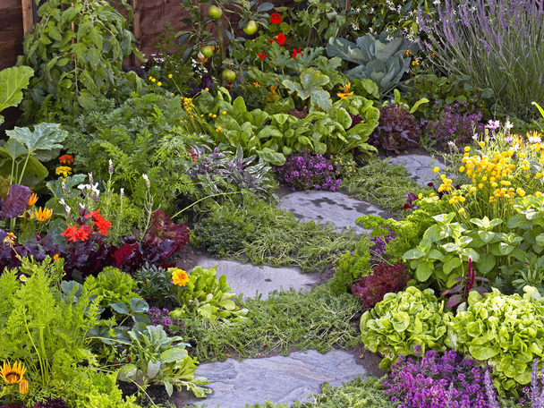 Красочные цветы и овощной сад с выбором растений и овощей
 - Фото, изображение