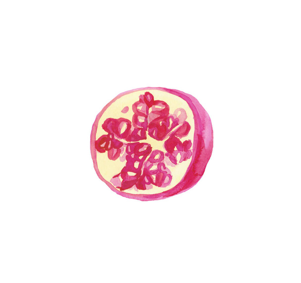Гранат акварельної ілюстрації намальований вручну. Рожеві фрукти в
 - Фото, зображення
