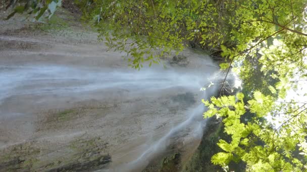 Függőleges vízesés a trópusi esőerdőben - Felvétel, videó