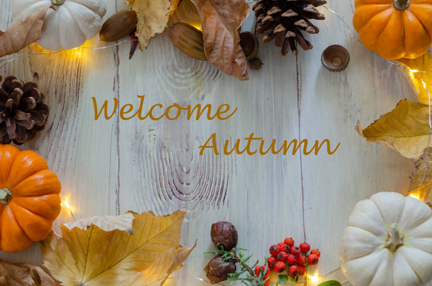 Herfst stilleven met pompoenen, dennenappels, bladeren en licht - Foto, afbeelding