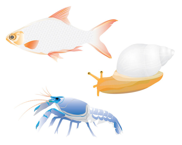 snail fish lobster vector design - Vector, Image