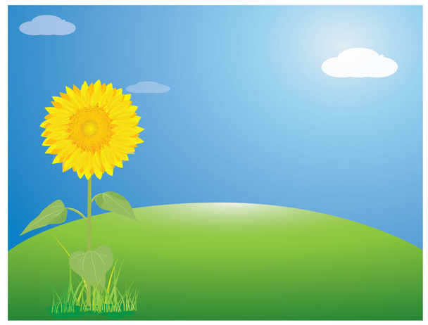 vector illustration of summer landscape with sunflower - Vektor, obrázek