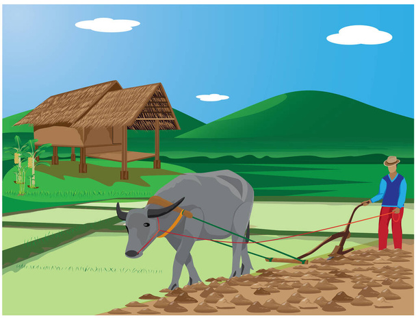 labourez fermier dans la conception vectorielle de rizière
 - Vecteur, image