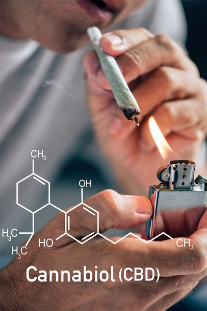 vista recortada del hombre iluminando romo con cannabis medicinal cerca de la ilustración de moléculas de cbd
 - Foto, imagen