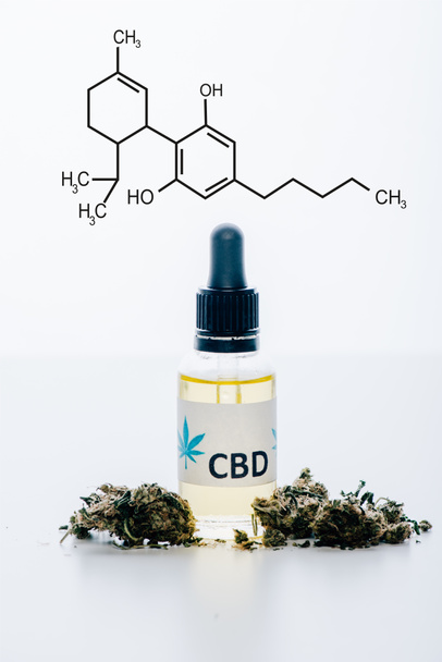 cbd oil in bottle near medical marijuana buds isolated on white with cbd molecule illustration - Foto, imagen