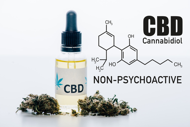 cbd oil in bottle near medical marijuana buds isolated on white with cbd molecule illustration - Фото, изображение
