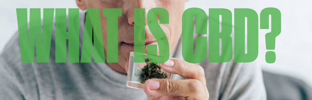 vista cortada do homem em t-shirt segurando cannabis medicinal em recipiente de vidro, tiro panorâmico com o que é questão CBD
 - Foto, Imagem