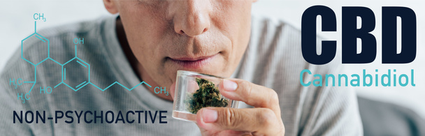 cropped view of man in t-shirt holding medical cannabis in glass container, panoramic shot with non-psychoactive cbd illustration - Photo, Image
