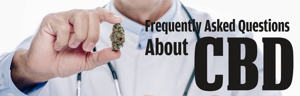 panoramisch shot van arts in witte jas met medicinale marihuana knop geïsoleerd op wit met veelgestelde vragen over cbd illustratie - Foto, afbeelding
