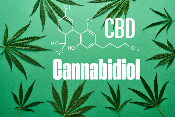top view of green cannabis leaves on green background with white cbd illustration - Foto, Bild