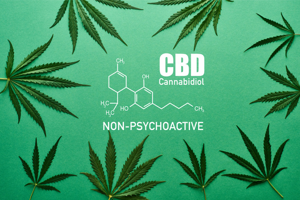 top view of green cannabis leaves on green background with cbd illustration - 写真・画像