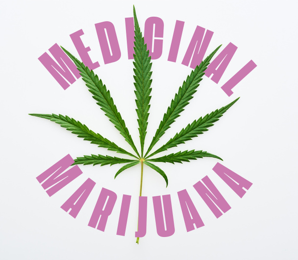 vista superior de la hoja de cannabis sobre fondo blanco con letras de marihuana medicinal
 - Foto, imagen