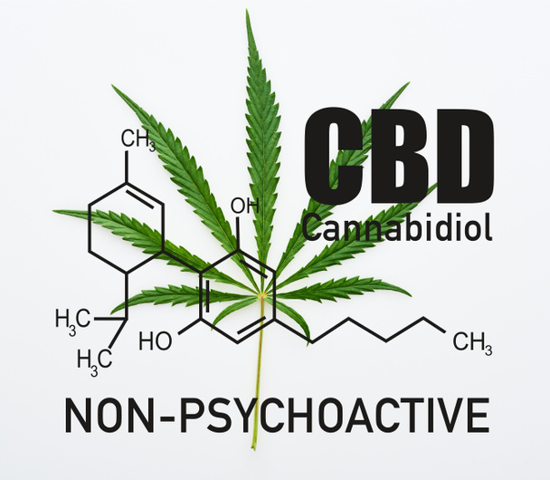 vista superior da folha de cannabis no fundo branco com ilustração da molécula cbd
 - Foto, Imagem