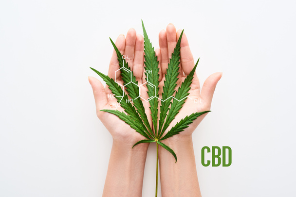 cropped view of woman holding marijuana leaf on white background with cbd molecule illustration - Photo, Image