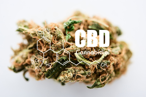 bourgeon de marijuana sur fond blanc avec illustration de molécule de cbd
 - Photo, image