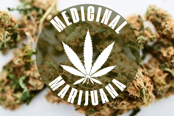 marijuana buds on white background with medical marijuana illustration - 写真・画像