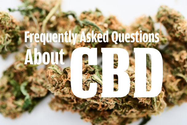 marihuana knoppen op witte achtergrond met veelgestelde vragen over cbd illustratie - Foto, afbeelding