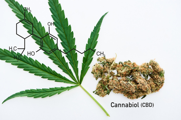 top view of green cannabis leaf and marijuana buds on white background with cbd molecule illustration - Valokuva, kuva