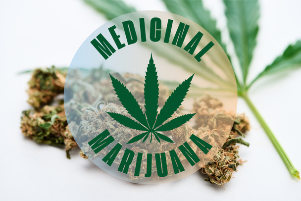 vihreä kannabiksen lehtiä ja marihuanan silmut valkoisella pohjalla lääkekannabiksen kuva
 - Valokuva, kuva