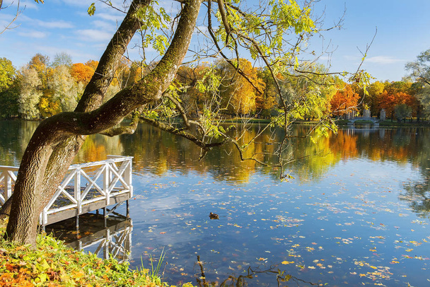 jesienny krajobraz w parku Gatchina, park publiczny w obwodzie leningradzkim, Petersburg, Rosja - Zdjęcie, obraz