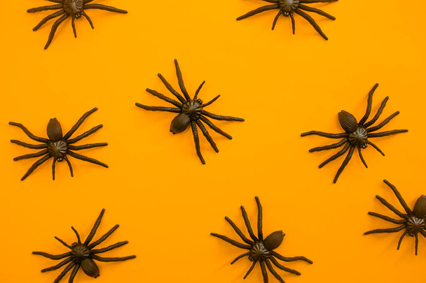 Halloween autumn holiday background with decorative black spiders against orange. - Фото, изображение