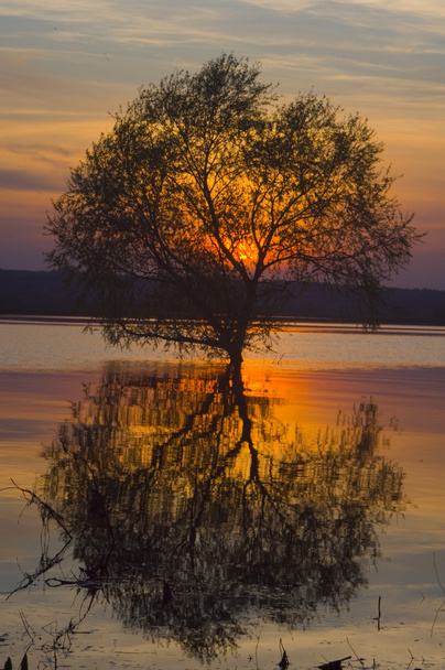 Auringonlasku - Valokuva, kuva