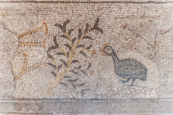 mosaïque au sol du Ve siècle après JC dans l'église de la Multiplication des pains et des poissons, Tabgha, Israël - Photo, image