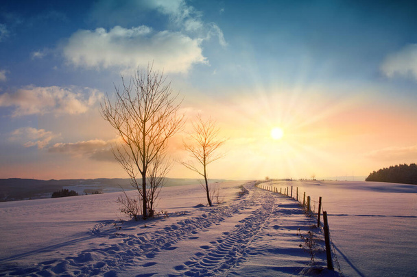 Winter sunset landscape with tree and field way. - Foto, afbeelding