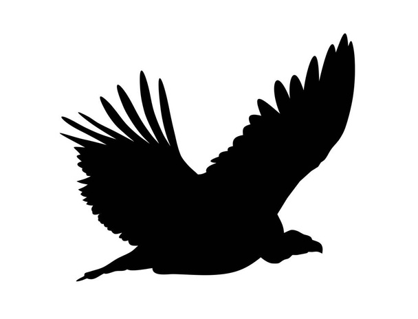 Griffon vulture - Vetor, Imagem