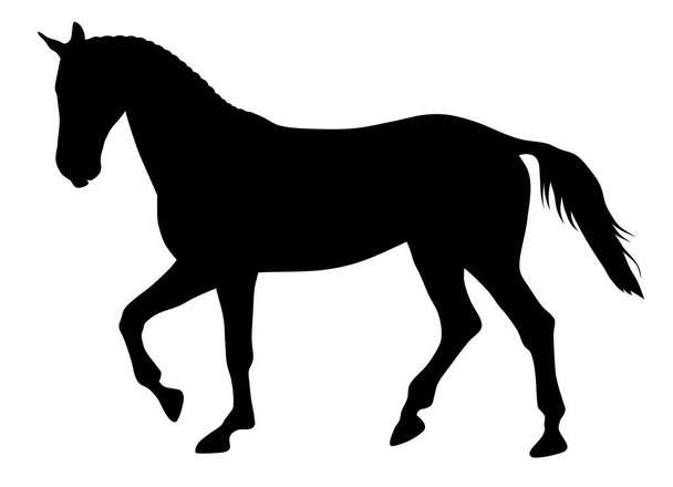 Horse - Vector, Imagen