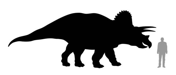 Triceratops - Vector, imagen